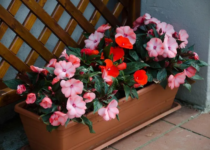 La Coccinella ベッド・アンド・ブレックファスト 4*